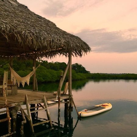 Lima Limon Eco-House Villa Bocas Town Ngoại thất bức ảnh